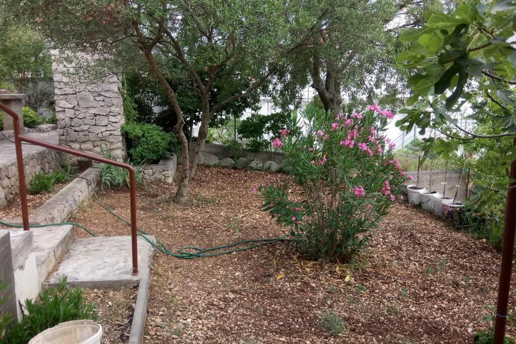 Ferienhaus Am Wasser - Kuca Rio - Iberische Finca In Dalmatien Bilice Zewnętrze zdjęcie